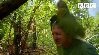 Shagged by a rare parrot  Last Chance To See  BBC [upl. by Onyx476]