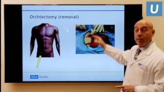 Testicular Cancer What You Really Need to Know  Mark Litwin MD MPH  UCLAMDChat [upl. by Aloke]