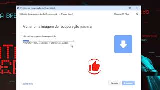 Instalar CHROME OS FLEX 2024 num pendrive [upl. by Riatsila]