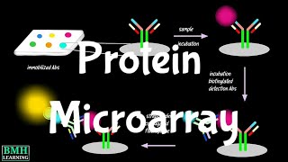 Protein Microarray  Protein Arrays  Protein Biochips [upl. by Cirle]