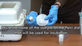 E Coli Bacteria Testing [upl. by Eolhc]