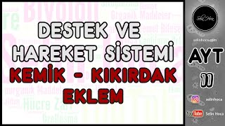 13 Destek ve Hareket Sistemi Kemik  Kıkırdak  Eklem [upl. by Sumerlin347]