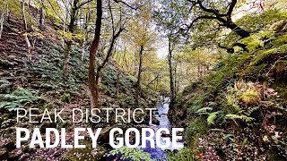 Solo walk in the peaks Padley gorge and owler tor [upl. by Ahsyad327]