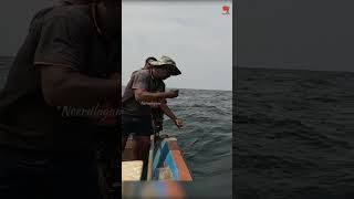 Catching Giant Trevally in the Deep Sea fishing fishingvideo fishingtime [upl. by Pritchard672]