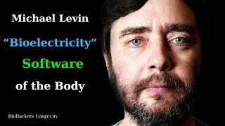 Bioelectricity The Software of the Body  Michael Levin [upl. by Ardnassela]