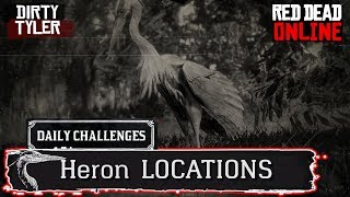 Heron RDR2 Locations Red Dead Online Daily Challenges [upl. by Leddy]