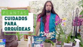 Cuidados de la orquídea y errores comunes  Plantas en VERDECORA [upl. by Anialeh]