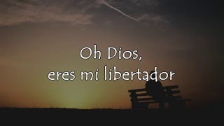 Matt Maher  Deliverer  Sub Español [upl. by Yaras]