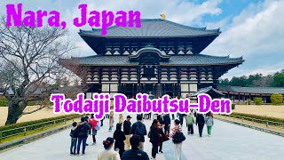 4K Lets go to TODAIJI DAIBUTSU DEN NARA TEMPLE  東大寺大仏殿 Walking tour 💜 [upl. by Willy]