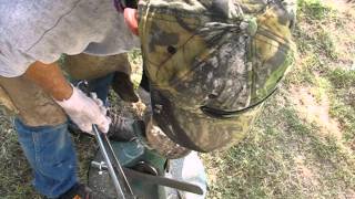 Hoof trimming Farrier correcting 3 unbalanced horse hooves [upl. by Krum]