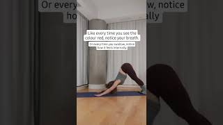 Downward Dog as a Mindfulness Cue 🐶 modernyoga accessiblemeditation [upl. by Fillender]