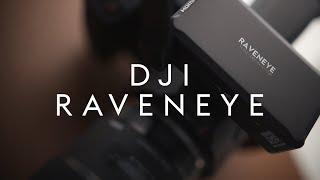 The Best Wireless Video Transmitter  DJI Raveneye Transmitter Review [upl. by Eelymmij]