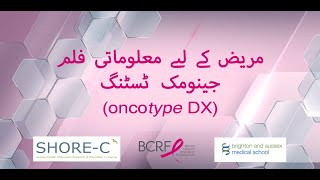 Understanding your Oncotype DX test result A short patient information film Urdu [upl. by Ojeillib]