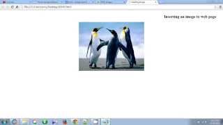 How To Insert Image in HTML Web Page Using Notepad Tutorial 2 [upl. by Ellerrehs]