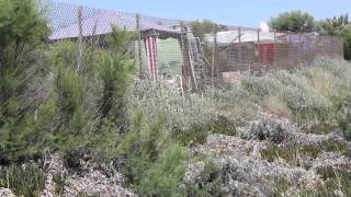 Camping la Plage  Marseillan plage 2013 [upl. by Cohbert564]