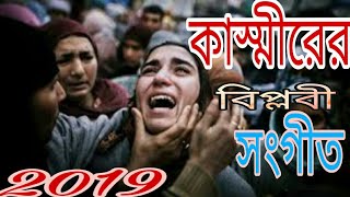 কাস্মীরের বিপ্লবী সংগীতKasmirer biplobi song 2019Singer Hafez Piyarul Islam Nihal Alukito So [upl. by Rella]