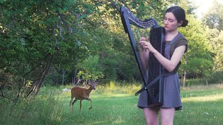 A deer turned my harp session into a Disney movie [upl. by Crellen]