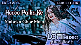 Hooo Palko Ke Maheka Ghar Main  উছে হাছনা ভি হোগা Lofi Music Slowed Reverb Har Dil Jo Pyar Karega [upl. by Nomrej]