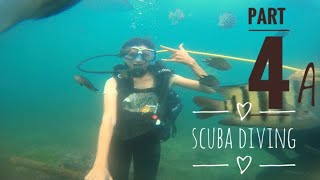 Part 4 A  Scuba diving at Devbag  best scuba diving in Malvan  deep water drive [upl. by Amice256]