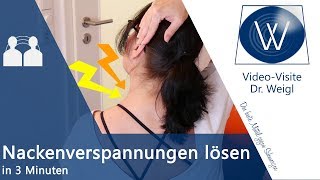 ⚡ Nackenverspannungen ⚡ lösen durch gezieltes Dehnen ✅ Die besten Nackenübungen für zu Hause [upl. by Lillis]