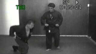 Ninjutsu techniques kick defense [upl. by Cofsky]