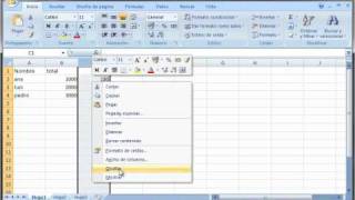 Excel ocultar y mostrar celdas  wwwofimaticaparatorpescom [upl. by Attehcram]