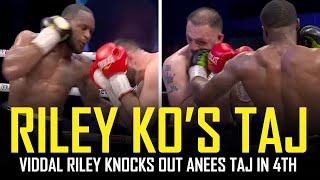 🔥 VIDDAL RILEY DESTROYS ANEES TAJ IN 4TH POST FIGHT REVIEW NO FOOTAGE 🔥 [upl. by Erolyat]