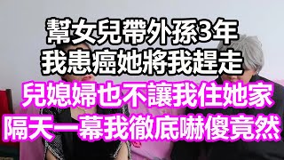 幫女兒帶外孫3年，我患癌她將我趕走，兒媳婦也不讓我住她家，隔天一幕我徹底嚇傻，竟然淺談人生民間故事孝顺儿女讀書養生深夜淺讀情感故事房产晚年哲理中老年心語養老小嫺說故事 [upl. by Htrowslle]