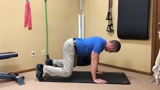 BEAR EXERCISES  Fix Flexion Intolerance  Pain Bending OverDown [upl. by Saville]