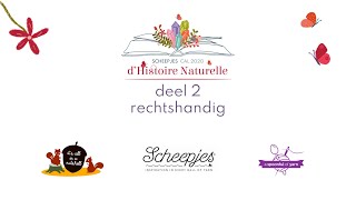 D’Histoire Naturelle  Deel 2 RECHTSHANDIG  Scheepjes CAL 2020 [upl. by Aoht345]