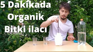 BİBER BİTKİSİNE UYGULAMAYIN Bitkiler İçin Doğal Böcek İlacı Nasıl Yapılır [upl. by Ursala]