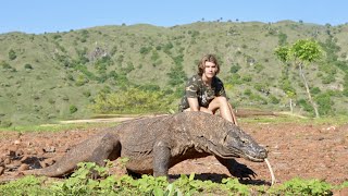 Surviving 24 Hours on KOMODO ISLAND Challenge Komodo Dragon [upl. by Annauj]