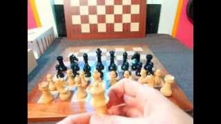 World Chess Championship 2013 Chessmen Set  Magnus Carlen vs Vishwanathan Anand  AncientChesscom [upl. by Quickman]