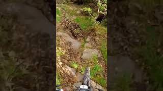 Vallåsen Bikepark dh mtb downhillmtb mtblife vallåsen [upl. by Leiser284]