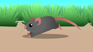 Clever Rat  Moral Stories For Kids  Animation  Hindi [upl. by Elmira]