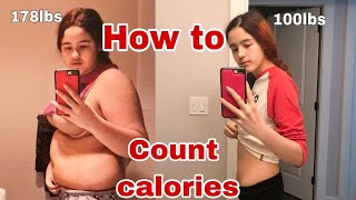 How to count calories to lose weight fast  Beginners guide [upl. by Maudie]