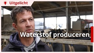 Uitgelicht  Waterstof produceren op melkveebedrijf [upl. by Iba]