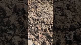 basement waterproofing previous backfilled soil versus all gravel [upl. by Daberath258]