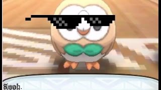 Rowlet Spin [upl. by Born]