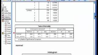 Testing Distributions for Normality  SPSS part 2 [upl. by Myrtice319]