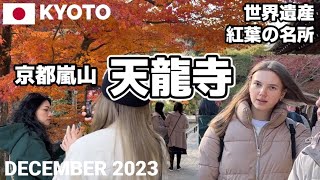 【京都嵐山】世界遺産天龍寺を歩く2023122 紅葉色あせ始めでも美しい Tenryuji in Arashiyama Kyoto [upl. by Jared448]