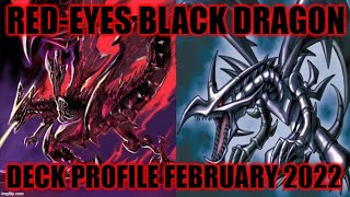 REDEYES BLACK DRAGON DECK PROFILE FEBRUARY 2022 YUGIOH [upl. by Omrelliug]