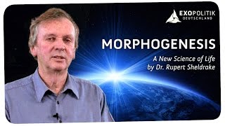 Rupert Sheldrake Morphogenesis  A New Science of Life [upl. by Kadner]