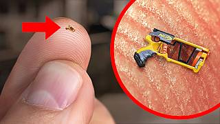 World’s Smallest Nerf Gun Shoots an Ant [upl. by Seuqirdor]