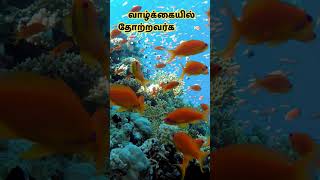 வாழ்க்கைக் கவிதைகள்  Tamil Kavidhaigal  puthukavithai  vazhkai kavithaikal [upl. by Roche874]