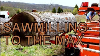 LIKE BIG LOGS THEN WATCH THIS VIDEO MAXING OUT THE WOODMIZER WITH HUGE WHITE OAK TIMBER [upl. by Oisangi]