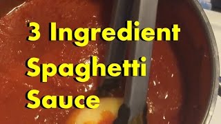 3 Ingredient Recipes Simple Spaghetti Sauce [upl. by Ilrebma]