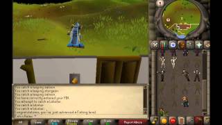 RuneScape Oldschool 99 Fishing  Cape amp Emote OSRS [upl. by Thoer]