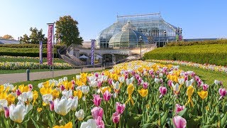 Welcome to Phipps Conservatory and Botanical Gardens [upl. by Animsaj]