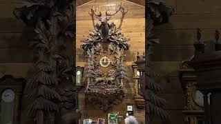 Worlds largest cuckoo clock [upl. by Ibbob570]